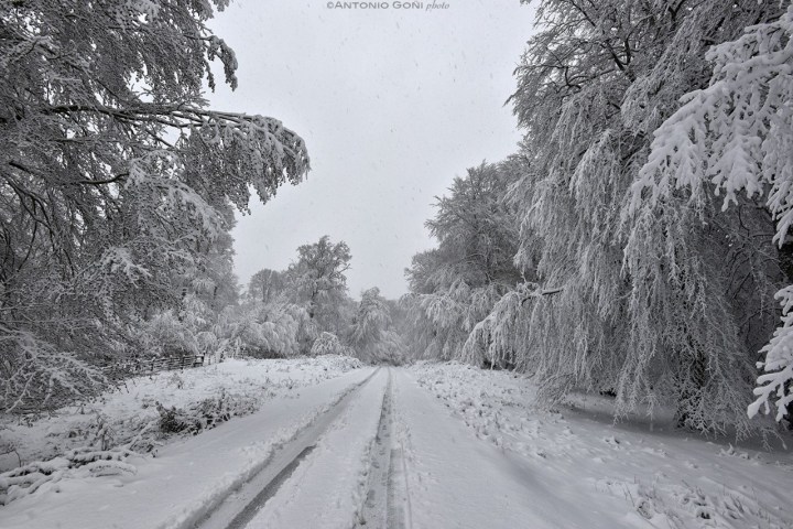 thumbnail_noticias-nieveweb