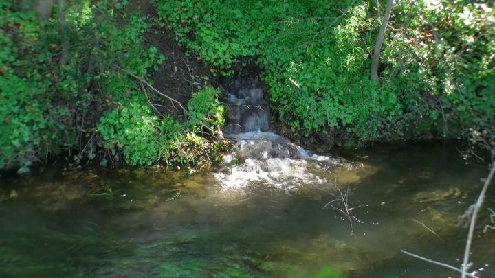 1082019_729564367111103_1700859837847732687_o