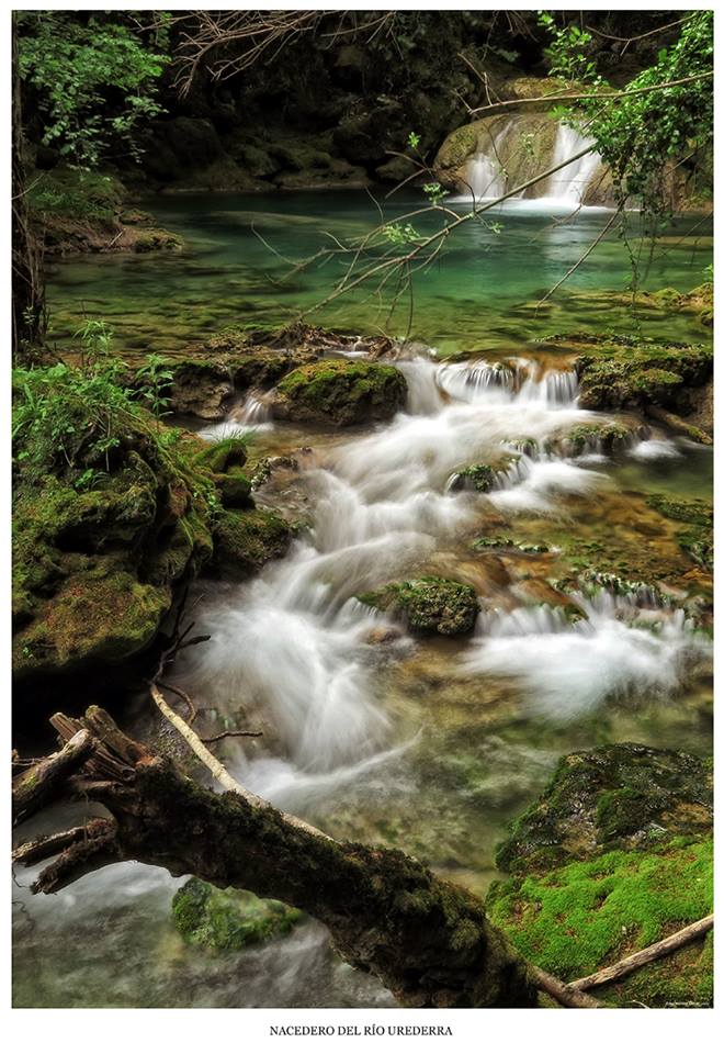 16508378_1279410712082335_5243979365792404379_n