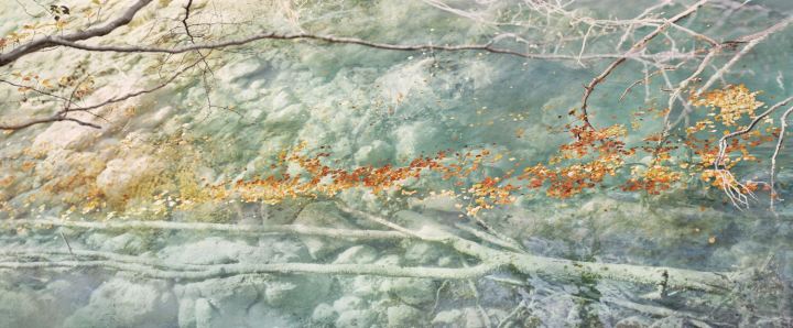 d725fe04-f4b3-4039-b064-80f0224be6ba