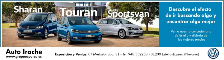 1 AUTO IRACHE - Gama Vehículos (versión Fotón) - Faldón prensa 256x69