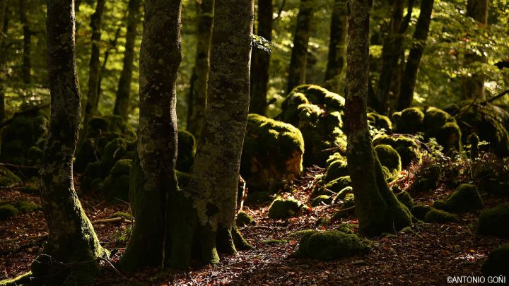 12244556_969264663096943_2715317495835754069_o