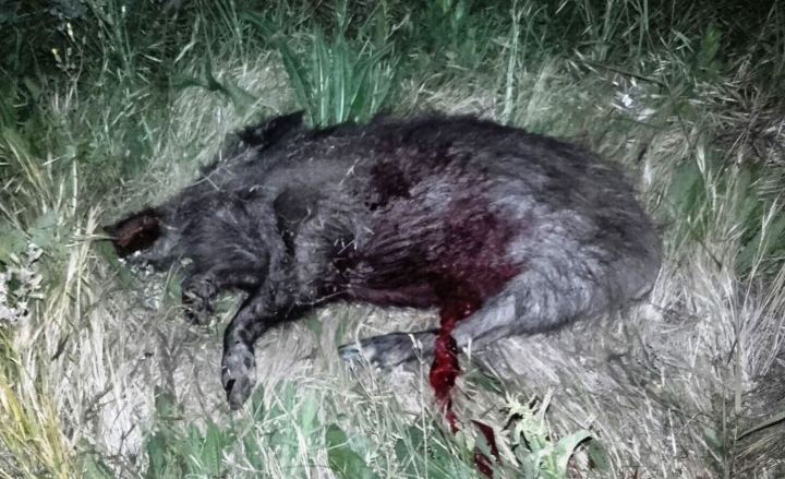 9b60b4ca-ea26-4348-b742-ce7717284329