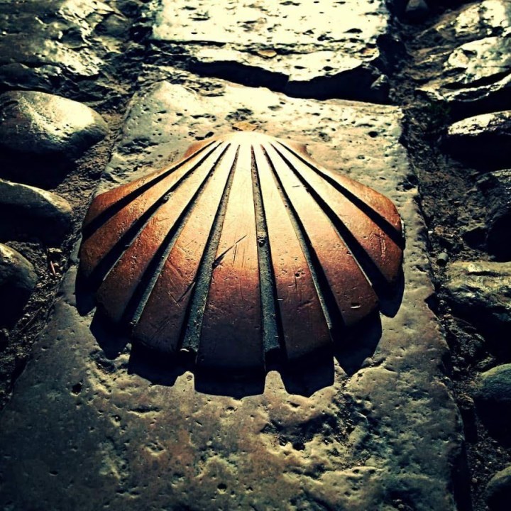 FB_IMG_1489558112345