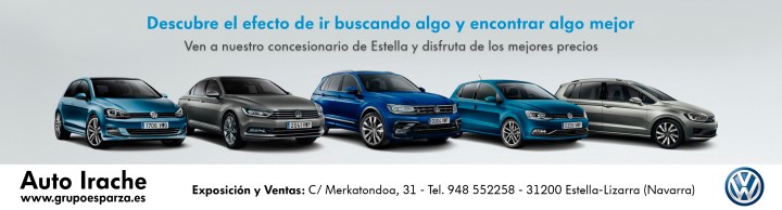 2 AUTO IRACHE - Gama Vehículos (versión Montaje fondo gris) - Faldón prensa 256x69