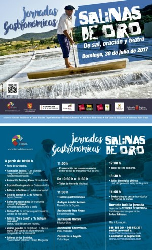 DIPTICO SALINAS CASTELLANO 2017 copia-1_resized