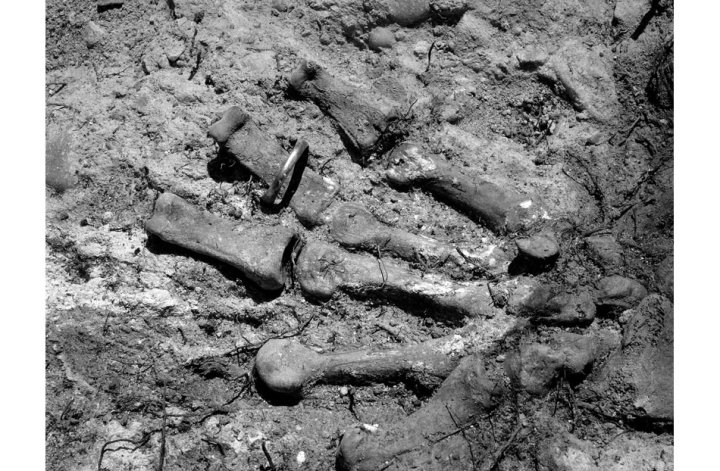 042-RMH04D002185_550